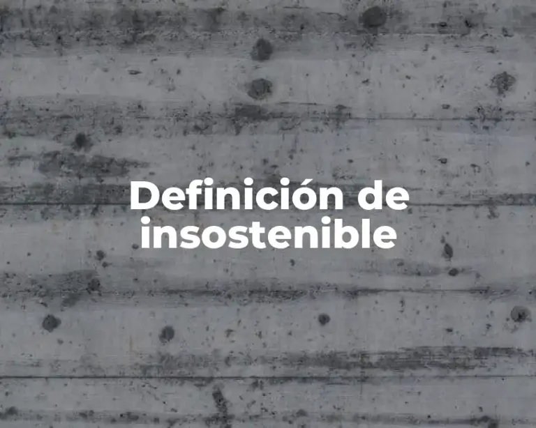 Definición de insostenible