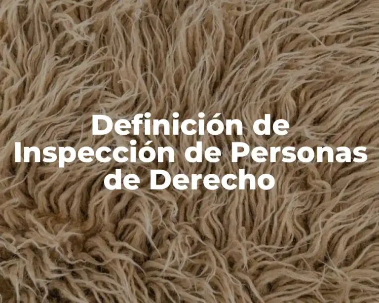Definición de Inspección de Personas de Derecho