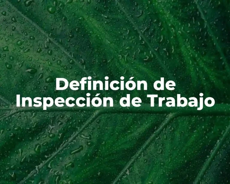 Definición de Inspección de Trabajo