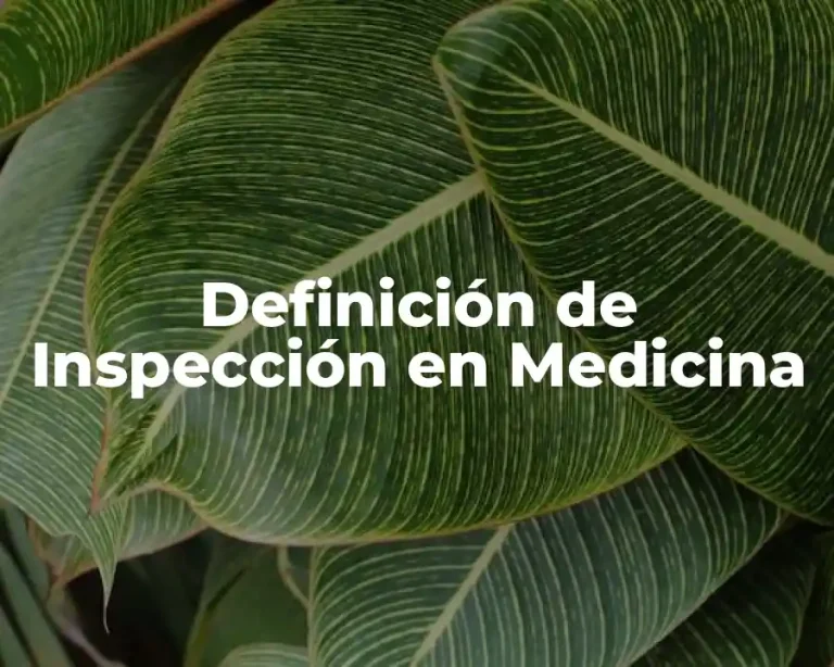 Definición de Inspección en Medicina