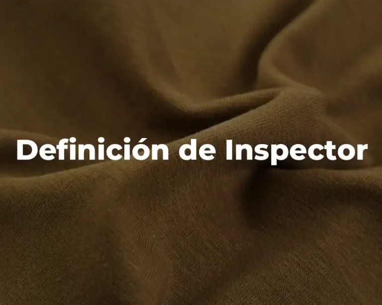 Definición de Inspector