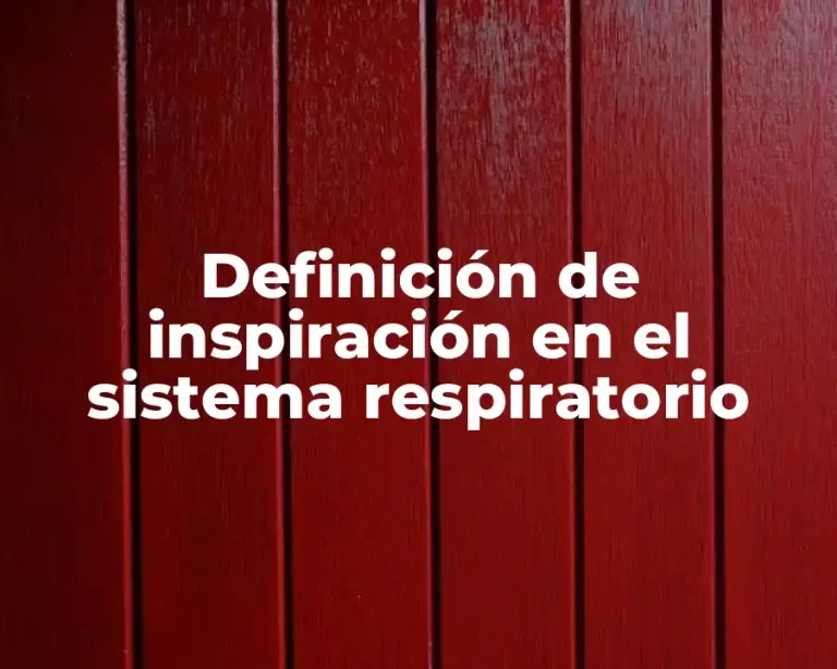Definición de inspiración en el sistema respiratorio