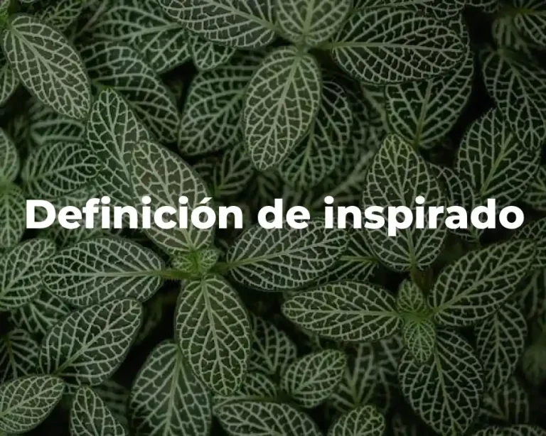 Definición de inspirado