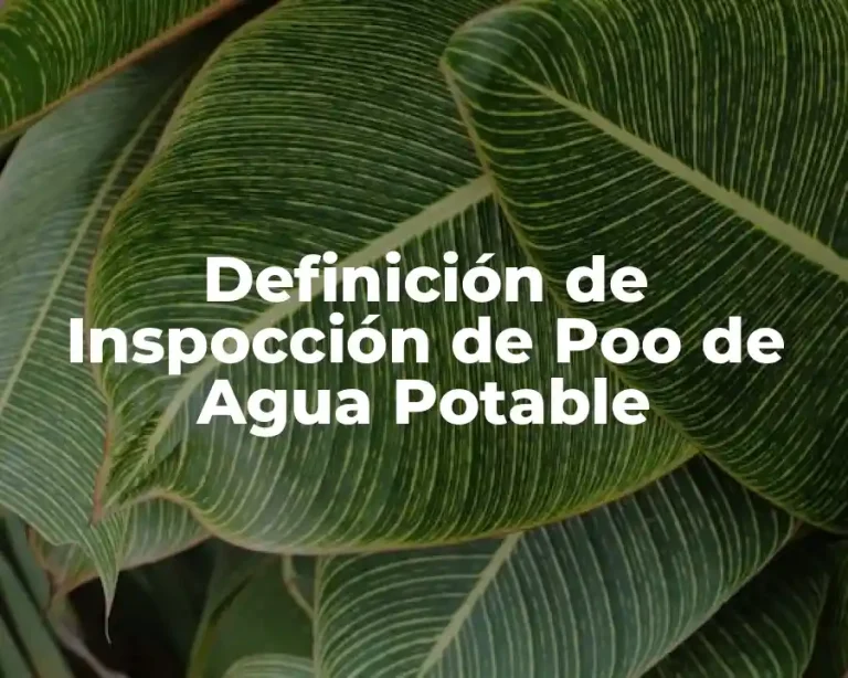 Definición de Inspocción de Poo de Agua Potable