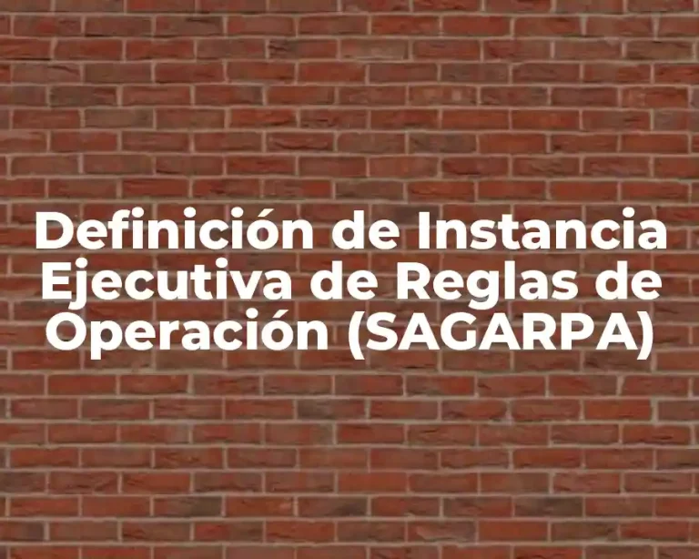 Definición de Instancia Ejecutiva de Reglas de Operación (SAGARPA)
