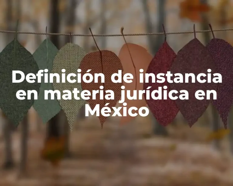 Definición de instancia en materia jurídica en México