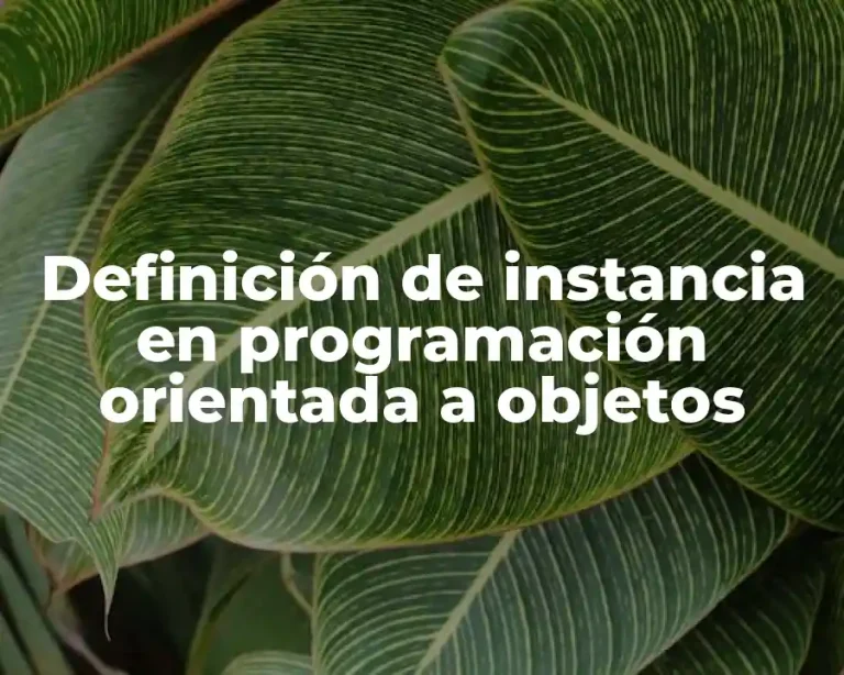 Definición de instancia en programación orientada a objetos