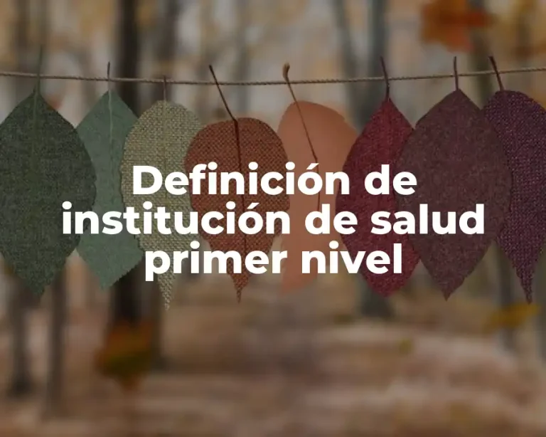 Definición de institución de salud primer nivel