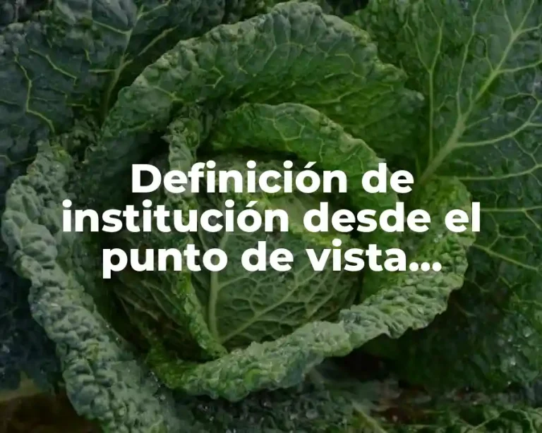 Definición de institución desde el punto de vista sociológico