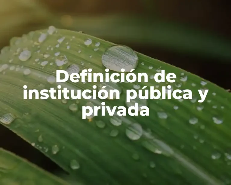 Definición de institución pública y privada
