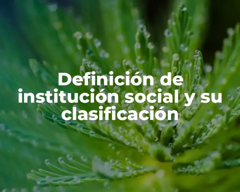 Definición de institución social y su clasificación