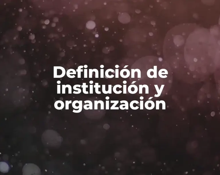 Definición de institución y organización