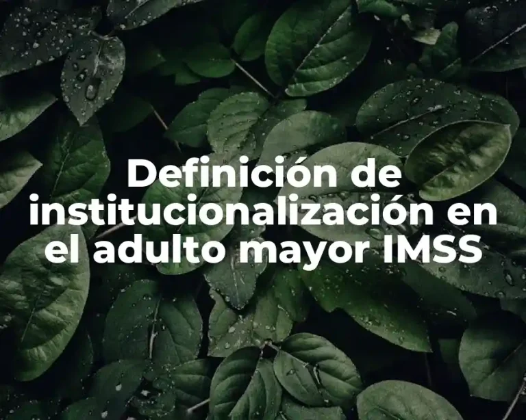 Definición de institucionalización en el adulto mayor IMSS
