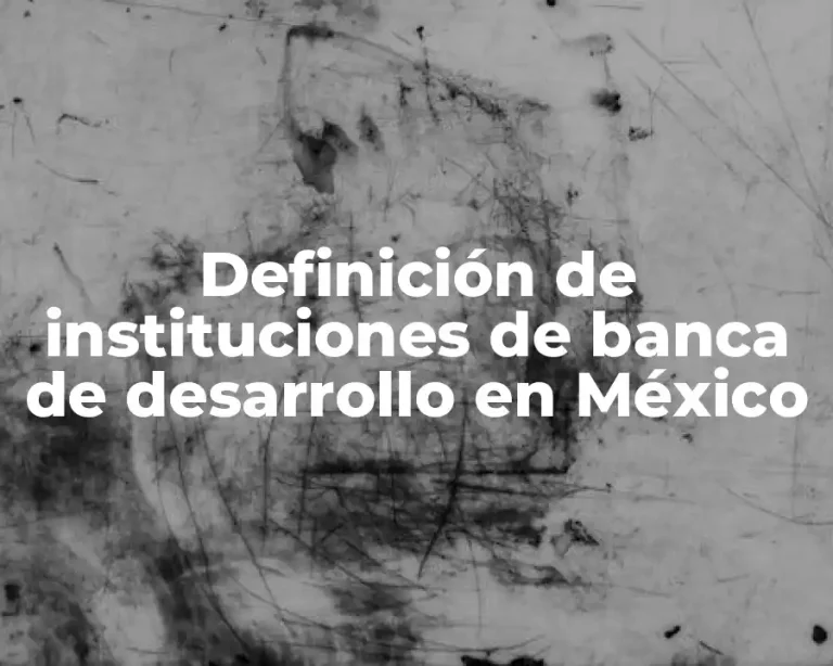Definición de instituciones de banca de desarrollo en México