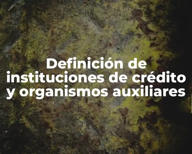 Definición de instituciones de crédito y organismos auxiliares