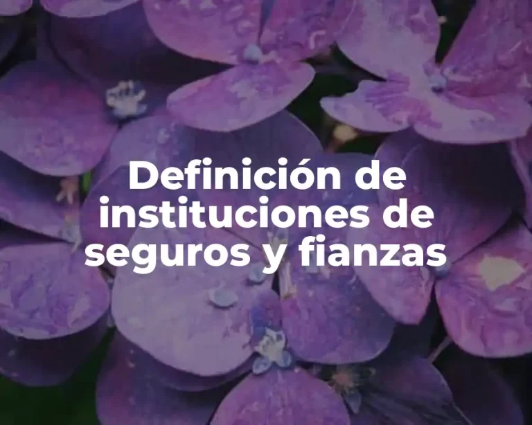 Definición de instituciones de seguros y fianzas