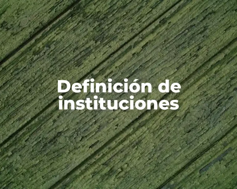 Definición de instituciones