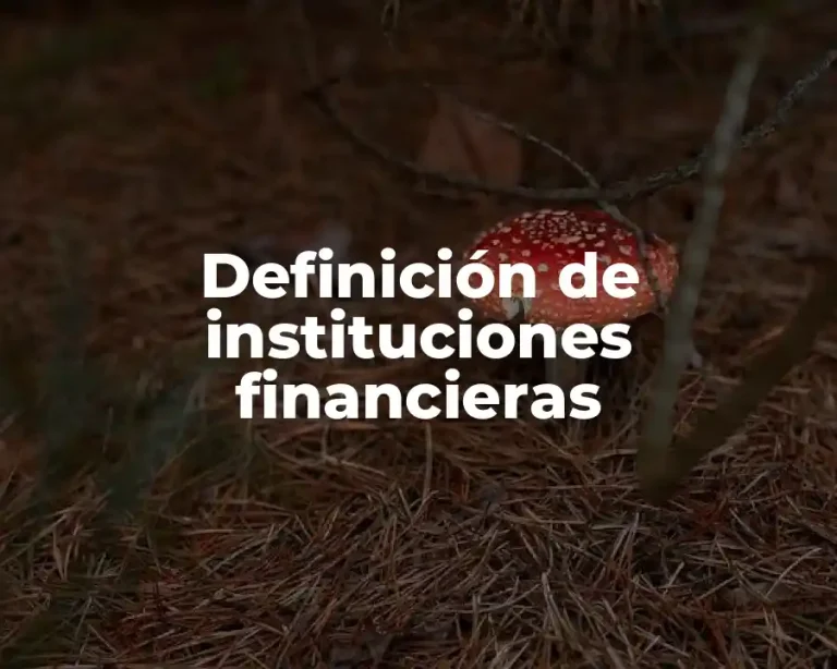 Definición de instituciones financieras