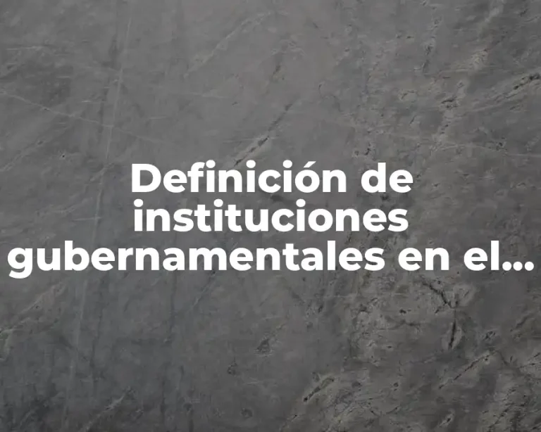 Definición de instituciones gubernamentales en el ámbito educativo