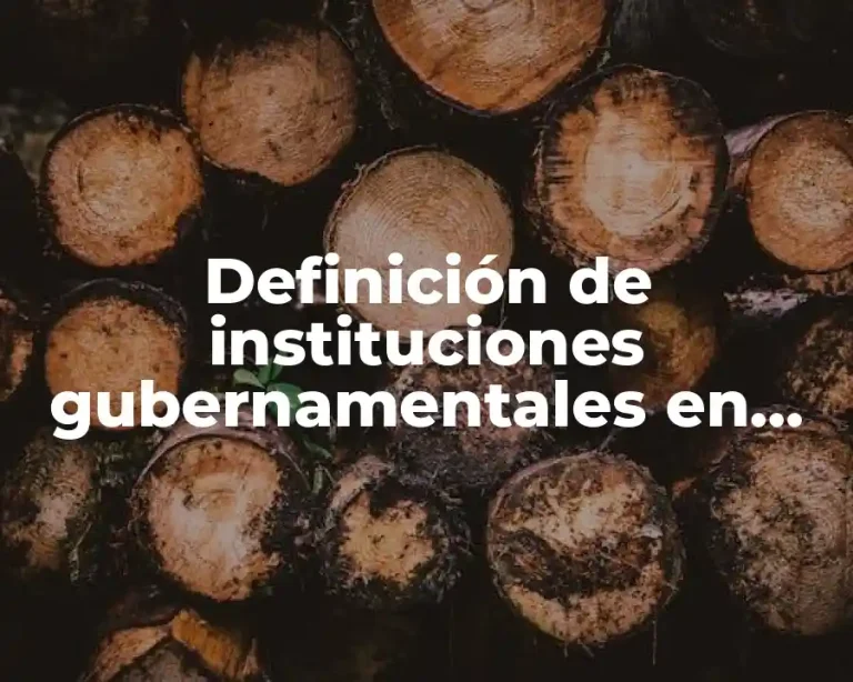 Definición de instituciones gubernamentales en México