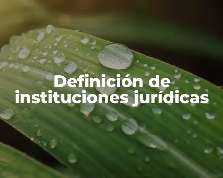 Definición de instituciones jurídicas