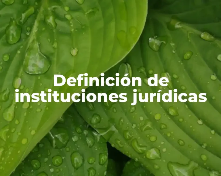 Definición de instituciones jurídicas