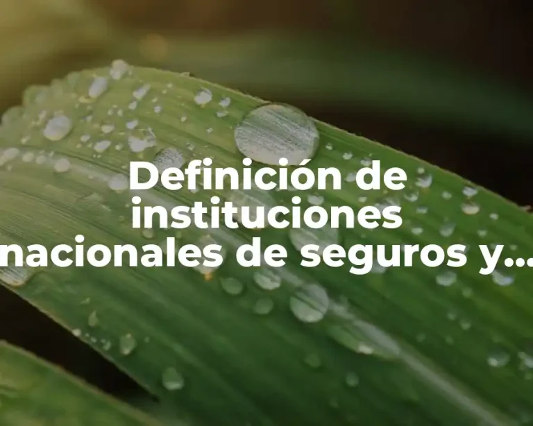 Definición de instituciones nacionales de seguros y fianzas