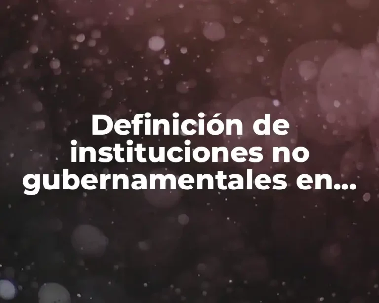 Definición de instituciones no gubernamentales en México