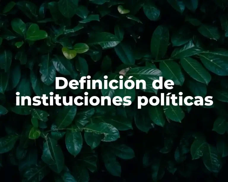 Definición de instituciones políticas