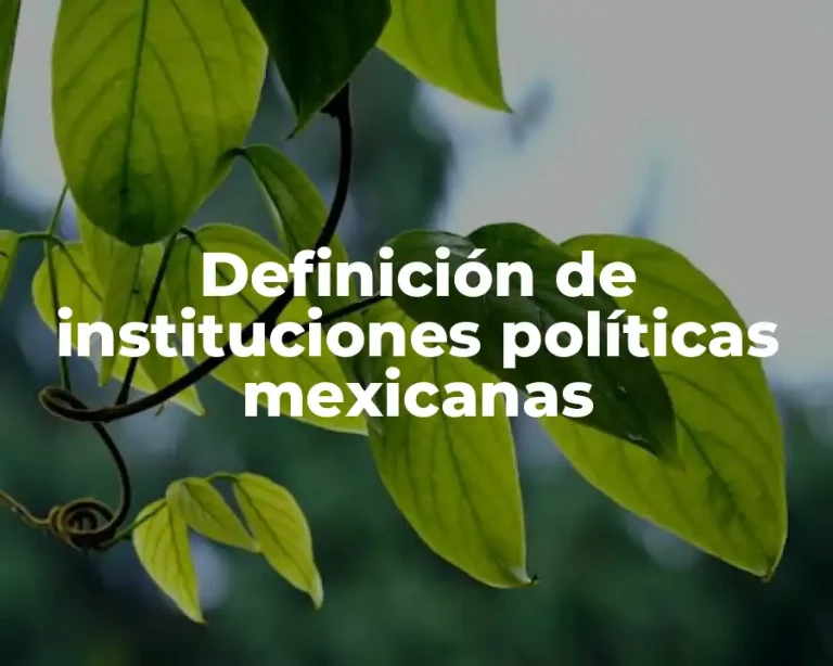 Definición de instituciones políticas mexicanas