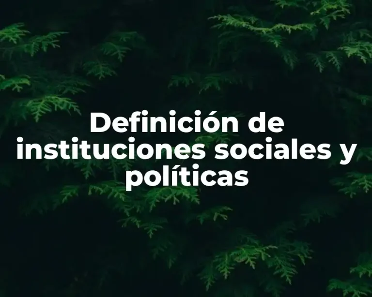 Definición de instituciones sociales y políticas