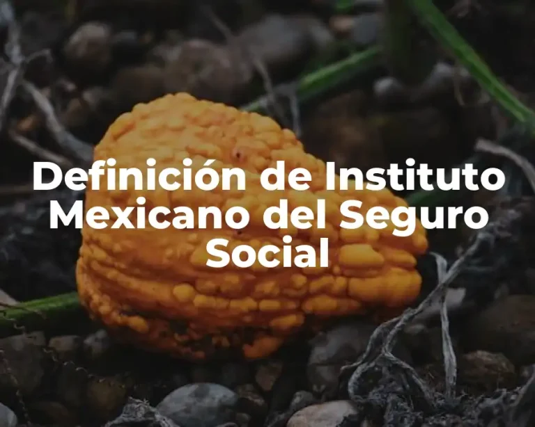 Definición de Instituto Mexicano del Seguro Social