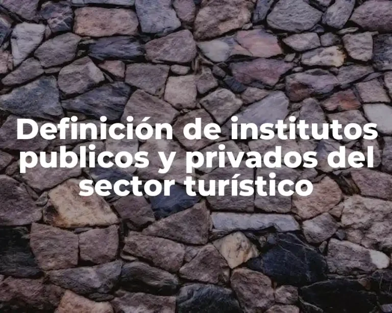 Definición de institutos publicos y privados del sector turístico