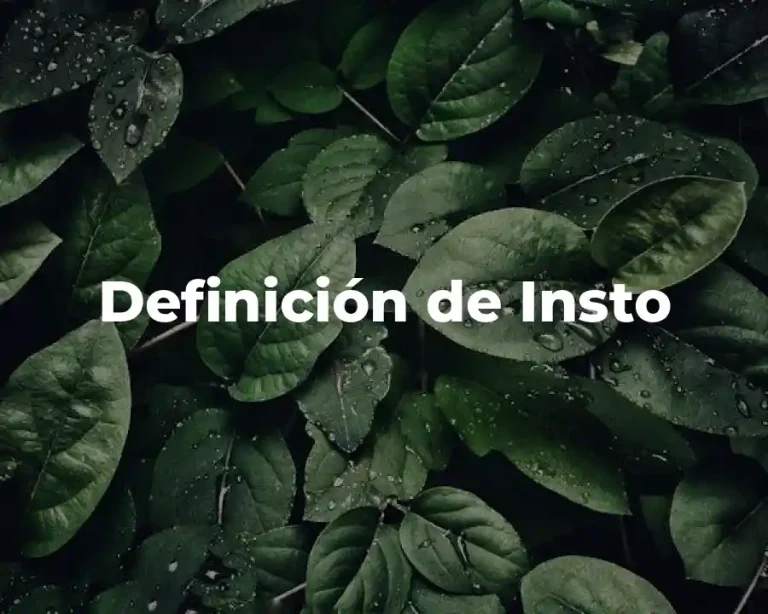 Definición de Insto