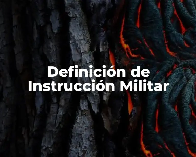 Definición de Instrucción Militar