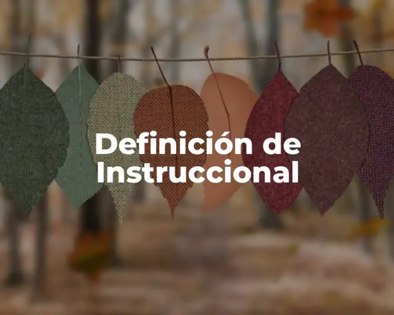 Definición de Instruccional