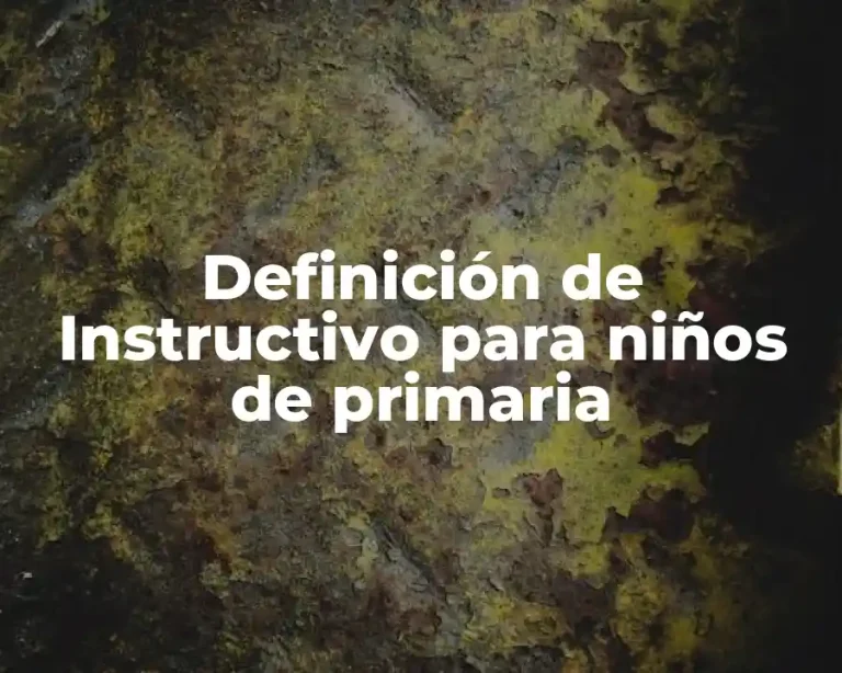 Definición de Instructivo para niños de primaria