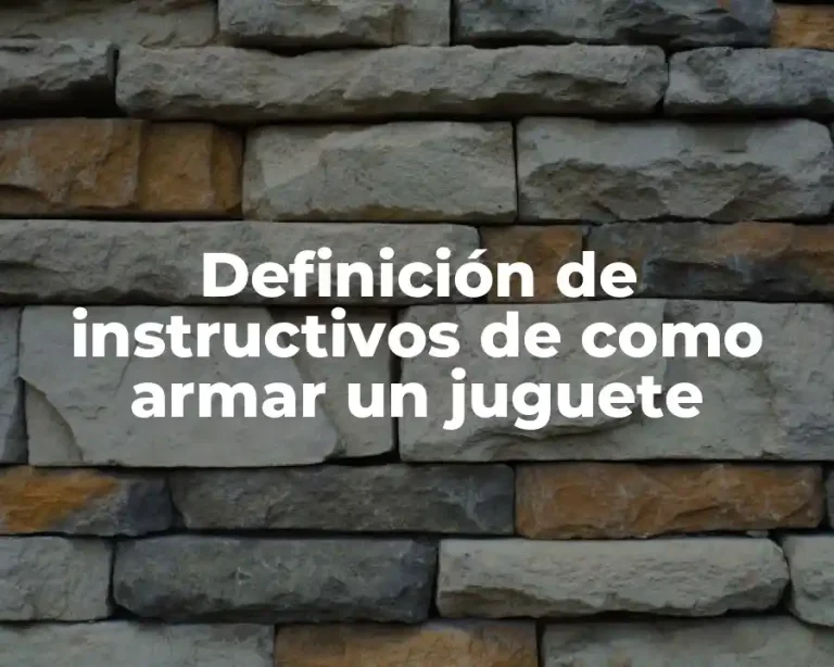 Definición de instructivos de como armar un juguete