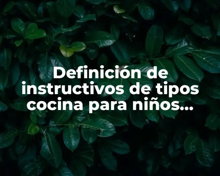 Definición de instructivos de tipos cocina para niños primaria