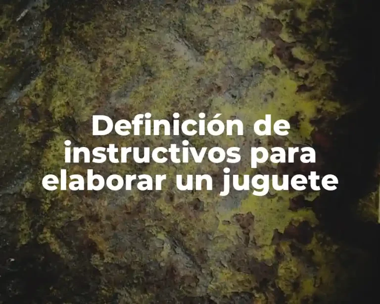 Definición de instructivos para elaborar un juguete