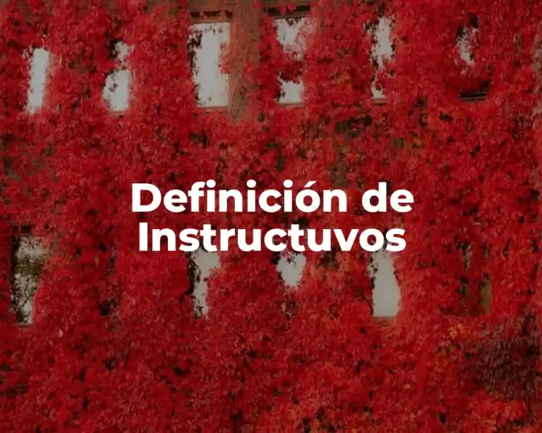 Definición de Instructuvos