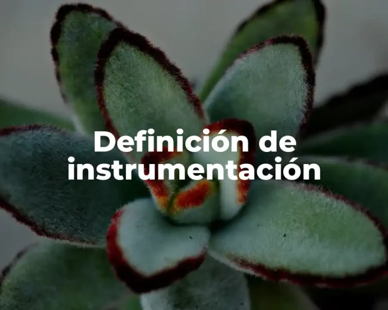 Definición de instrumentación