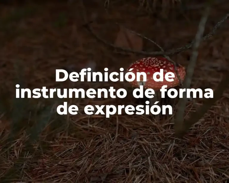 Definición de instrumento de forma de expresión