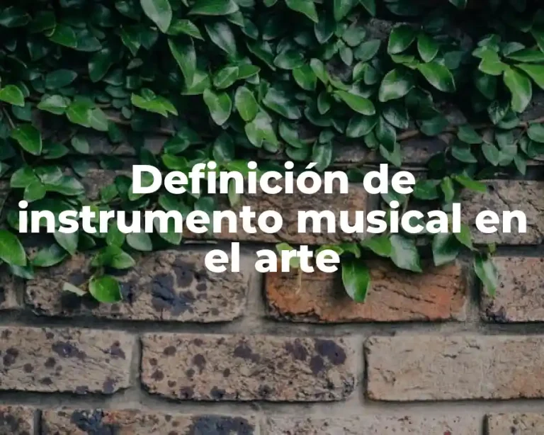 Definición de instrumento musical en el arte