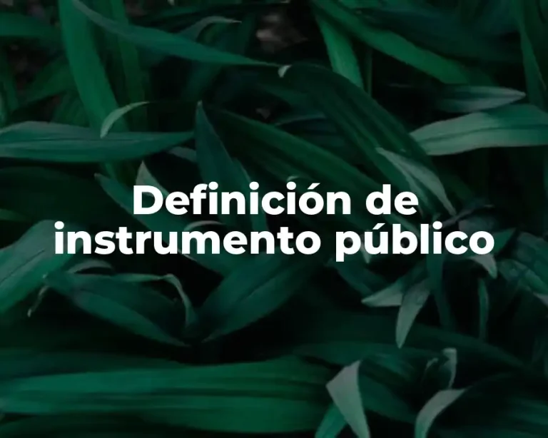 Definición de instrumento público