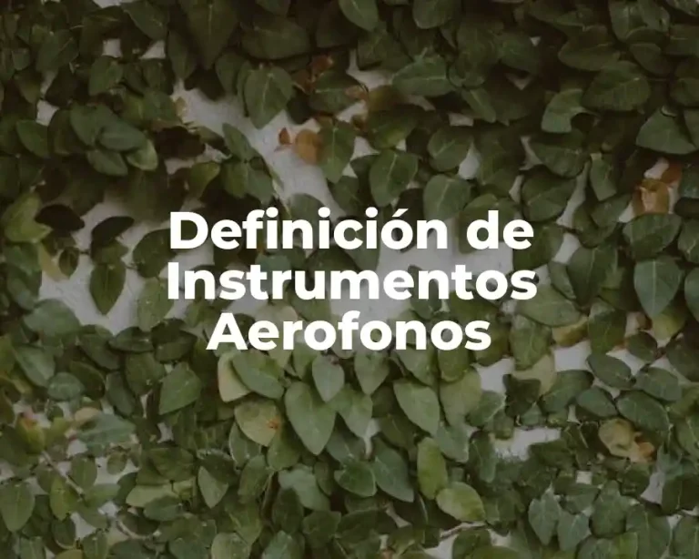 Definición de Instrumentos Aerofonos