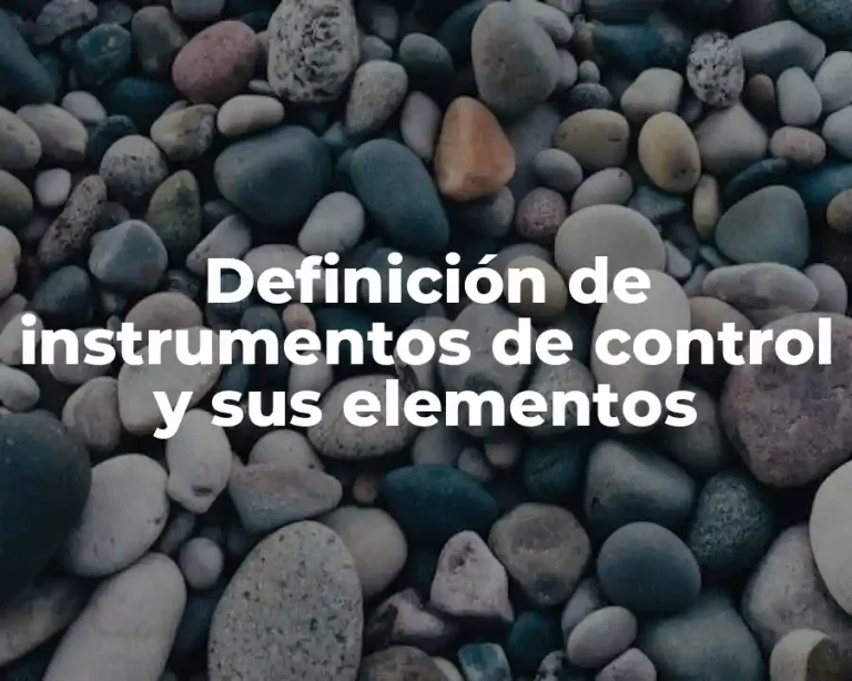 Definición de instrumentos de control y sus elementos