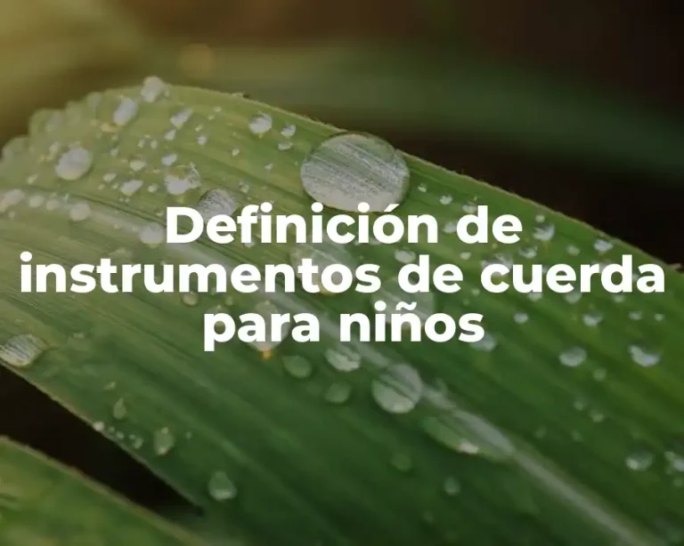Definición de instrumentos de cuerda para niños