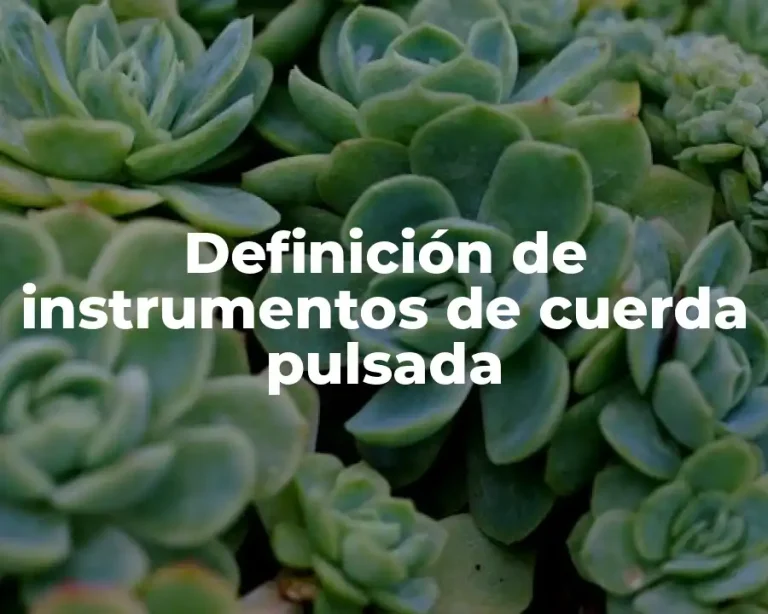 Definición de instrumentos de cuerda pulsada