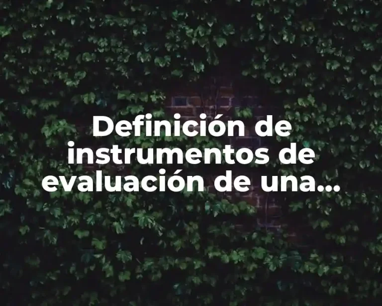 Definición de instrumentos de evaluación de una sesión educativa.